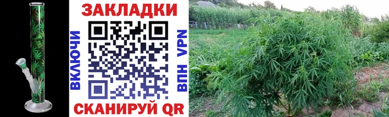 Купить закладку АМФЕТАМИН  Меф  ГАШИШ  Alpha PVP  Краснокаменск