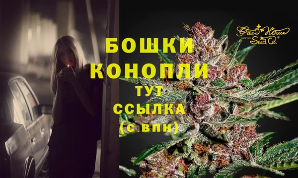 стафф Богданович