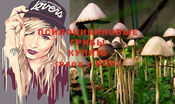 твердый Бронницы
