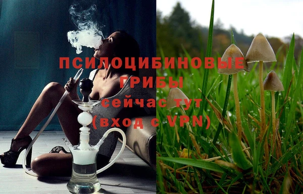 мдма Богородицк