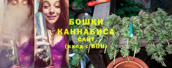 стафф Богданович